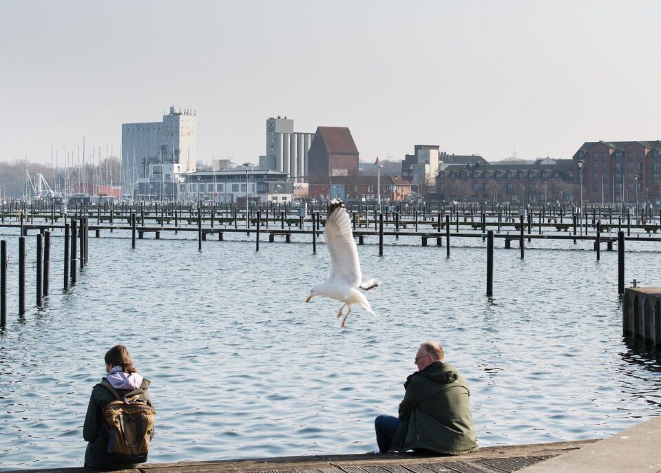 Update aus der Marina ⚓ - News Marina Heiligenhafen