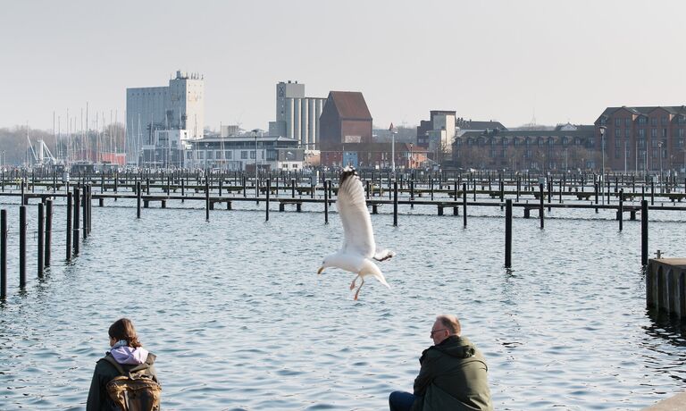 Marina Heiligenhafen News